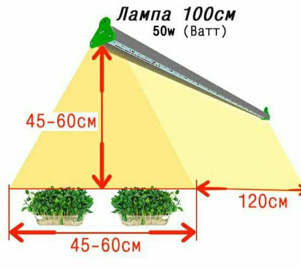 1120 Фитолампа для растений 50 Ватт. Длина 100 см LAB.Space 