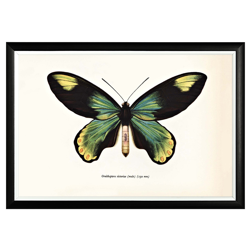 782752431_1818 Арт-постер «Тропический рай», версия 11 Object Desire 