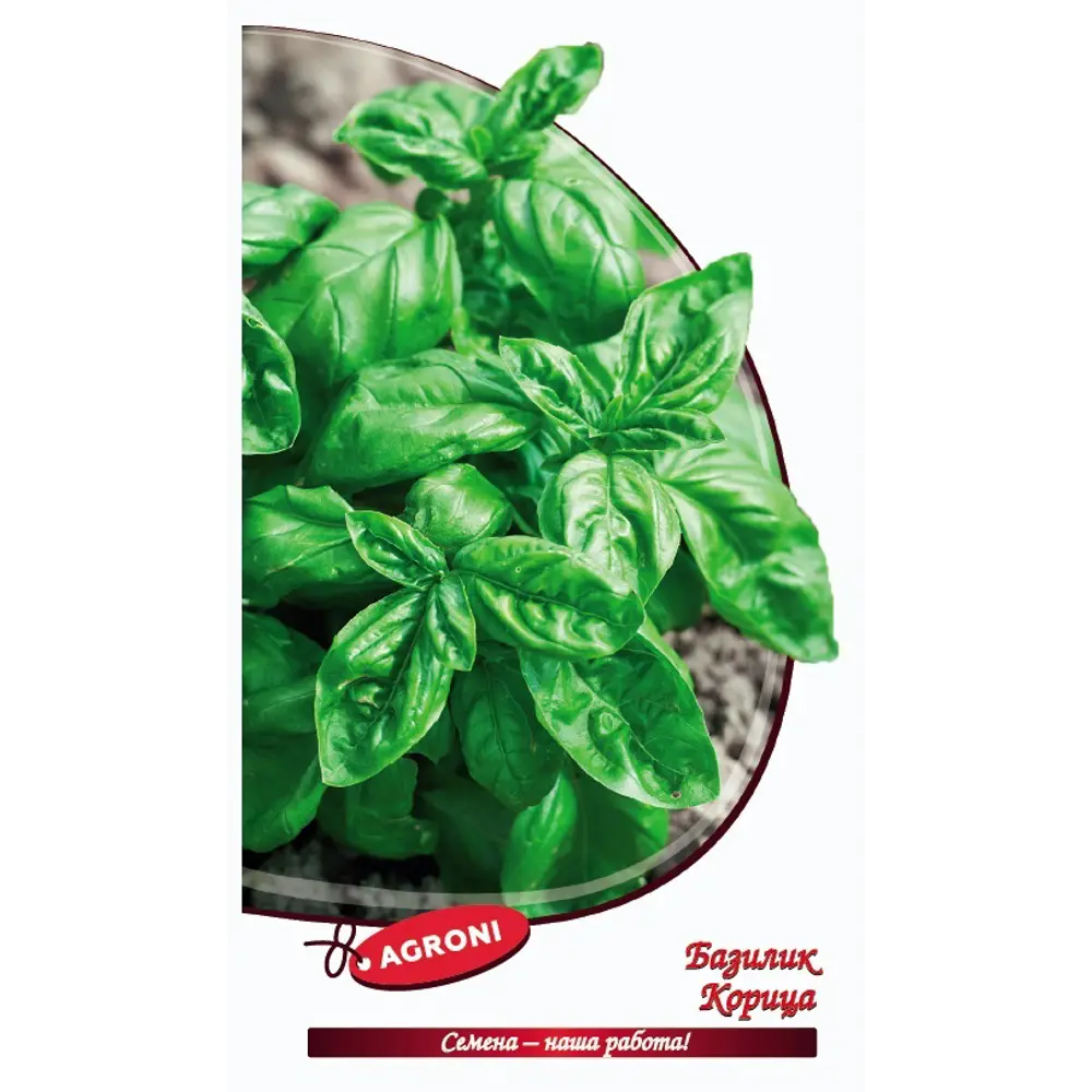 Семена базилика Корица AGRONI - ароматная пряность для дома и сада 89400864 STLM-1564482