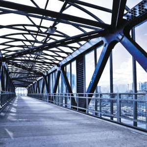 0701/CX38 Картина 0701 Adriani e Rossi