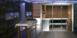 ФИНСКАЯ САУНА WONDER 264X192 CM