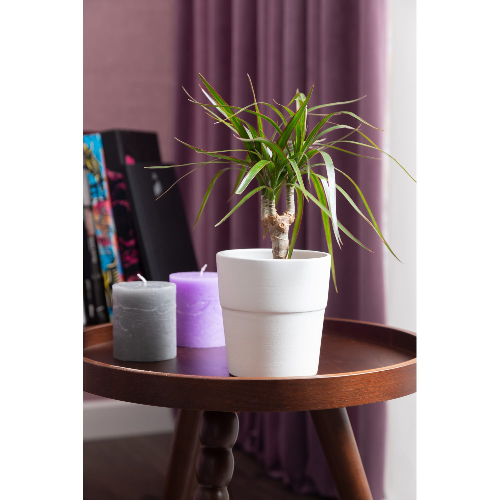 18876191 Кашпо ø12 h12 см v0.85 л керамика белый Уайт Santreyd  - Вид №2