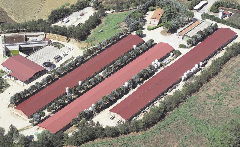 ELCOM SYSTEM Металлоизоляционная кровля с внутренней обшивкой Zootec sun-id-1432244 - Вид №4