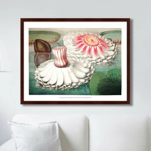 Картина в раме 78,5х100 см Water lily during bloom, 1870г. КАРТИНЫ В КВАРТИРУ  264208 Зеленый;коричневый;розовый;разноцветный