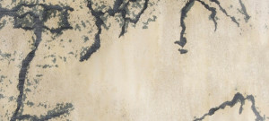 038311 Ковер Gobi Brabbu