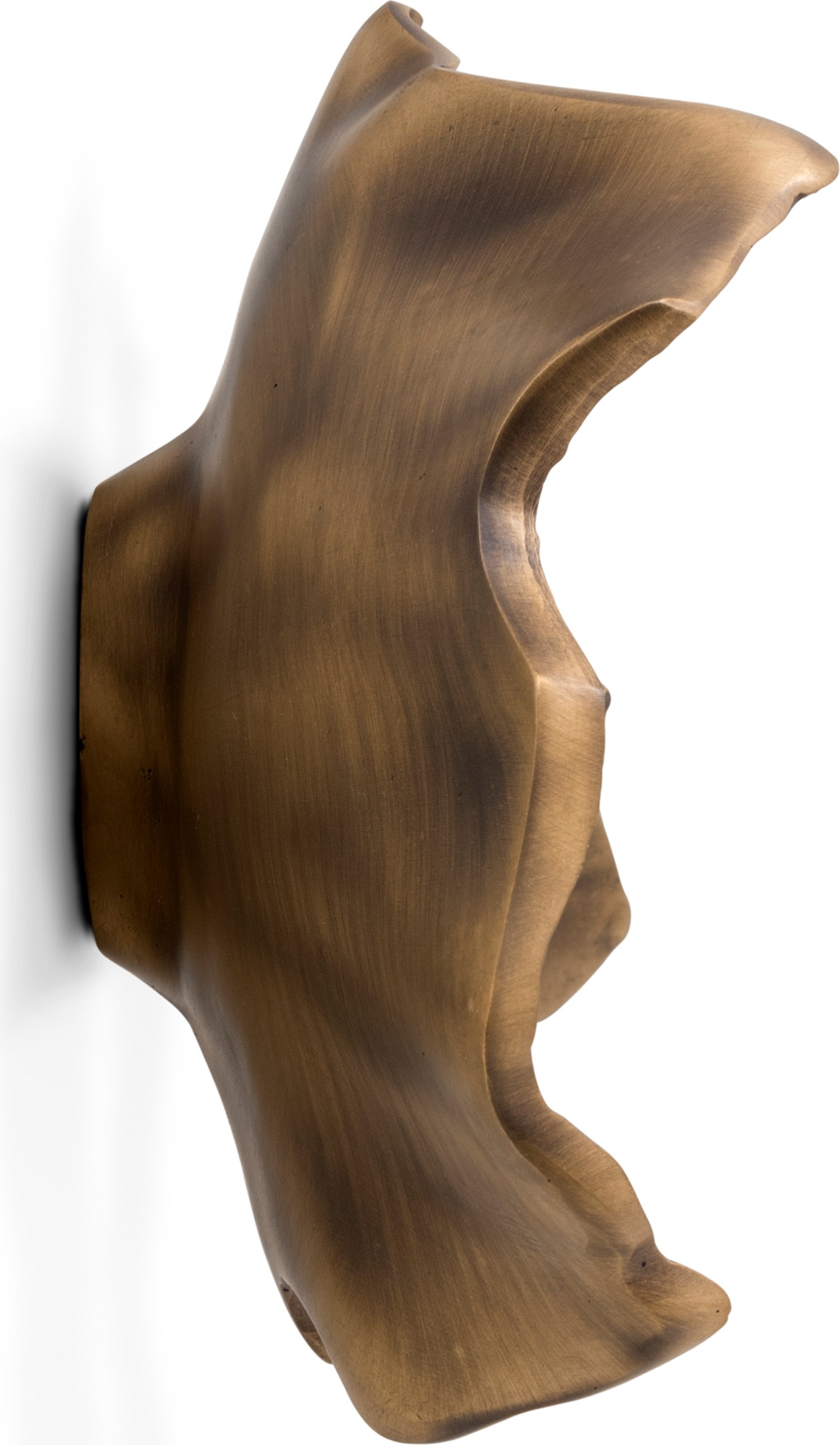 EA1053 PullCast Дверные тяги LEAF Полированная латунь  - Вид №4