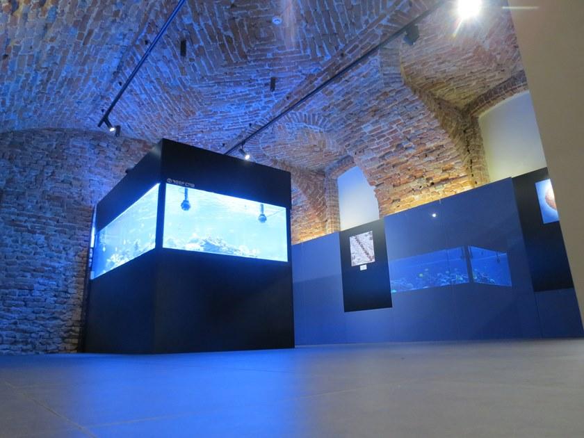 GammaStone Стеклянная панель Gammastone glass air sun-id-1459280 - Вид №1