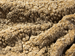 Полиэстер и хлопок ткань