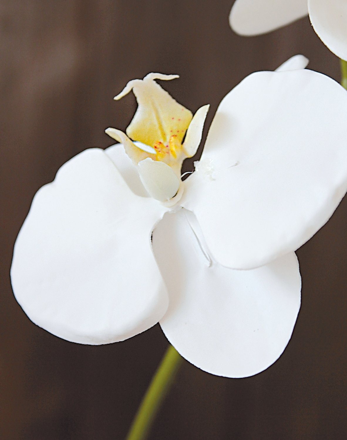 2601 777 a3 Искусственная орхидея Phalaenopsis, 37 см, real touch soft, белая H-andreas  - Вид №1