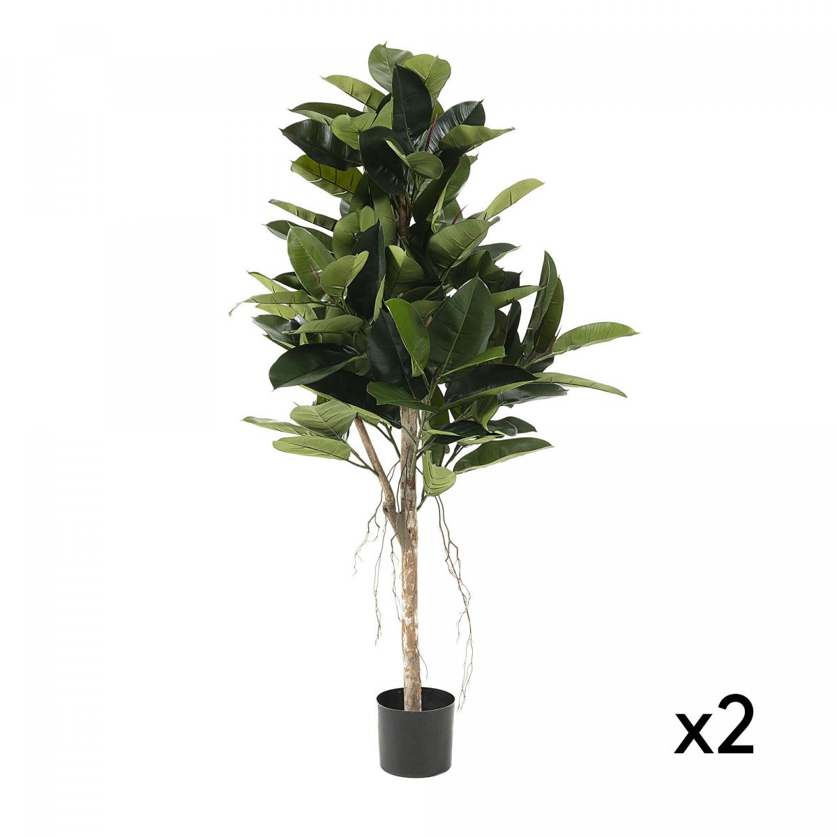 062094 Набор 2 искусственных фикусов в горшке La Forma Flower - Вид №1