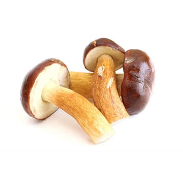 Маслята ~500 г Santreyd 23539 - Вид №1