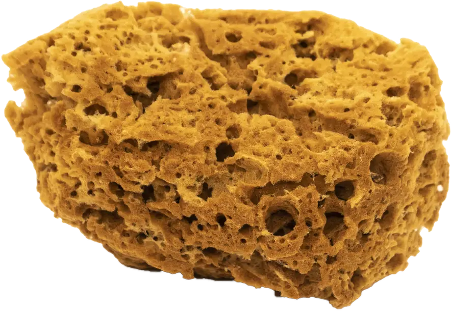 Натуральная морская губка Pentrilo для декоративной отделки 11387551