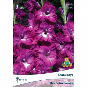83596872 Гладиолус гофрированный Найроби Раффл луковица 10/12