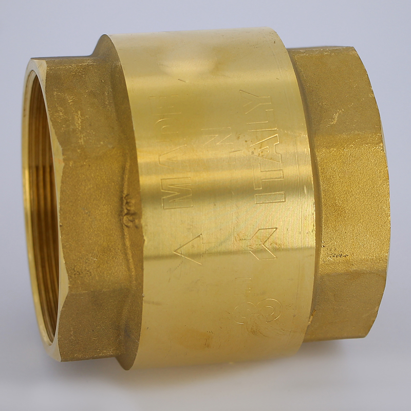 Клапан обратный пружинный EURA EXPORT с пластиковым затвором F.I.V. 3" FIV 08030300