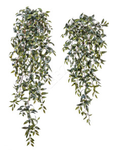 20.1129N Традесканция зелёная ампельная Цветочная коллекция