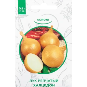 Семена Лук репчатый «Халцедон» XS 82457664 STLM-2105123