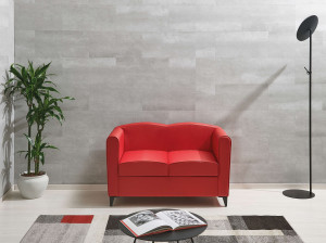 2-местный кожаный диван