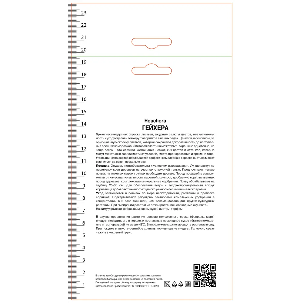 Гейхера гибридная Марвелос Марбл Сильвер ПОИСК STLM-2122010 - Вид №1