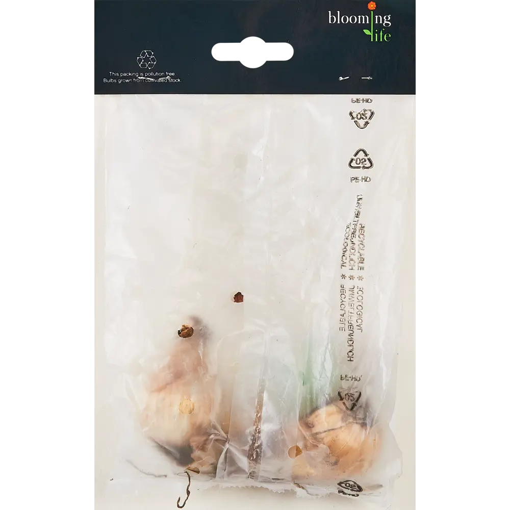 Нарцисс Найт Кэп - луковицы для сада (3 шт.) 88757450 Santreyd STLM-1583178 - Вид №1