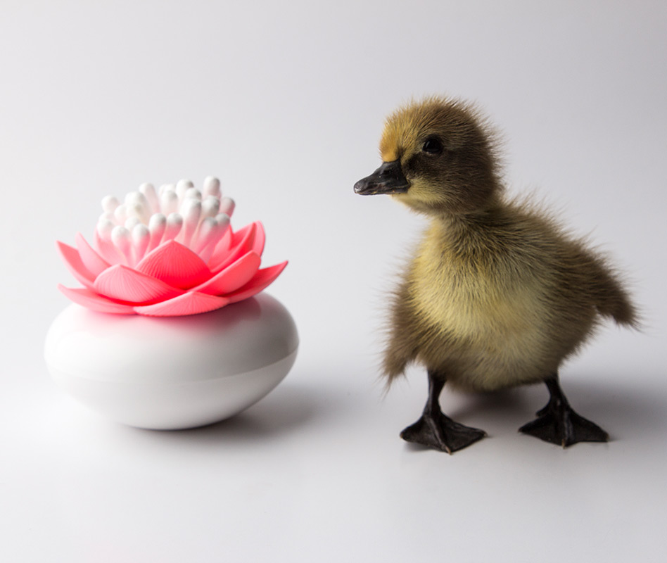 QL10157-WH-PK Контейнер для хранения ватных палочек lotus белый-розовый Qualy  - Вид №3