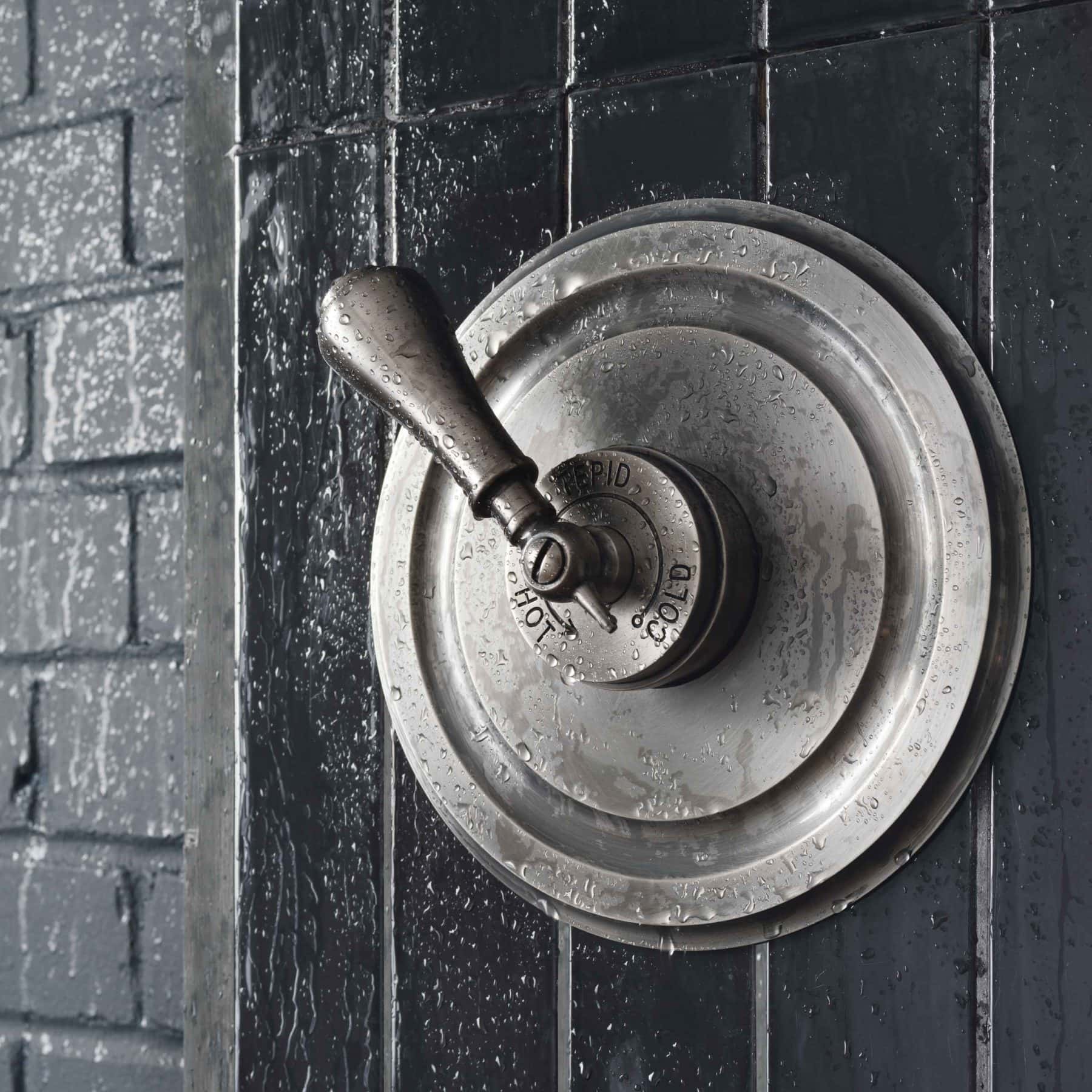 Concealed душ Le Thermo Concealed Catchpoleandrye  - Вид №6