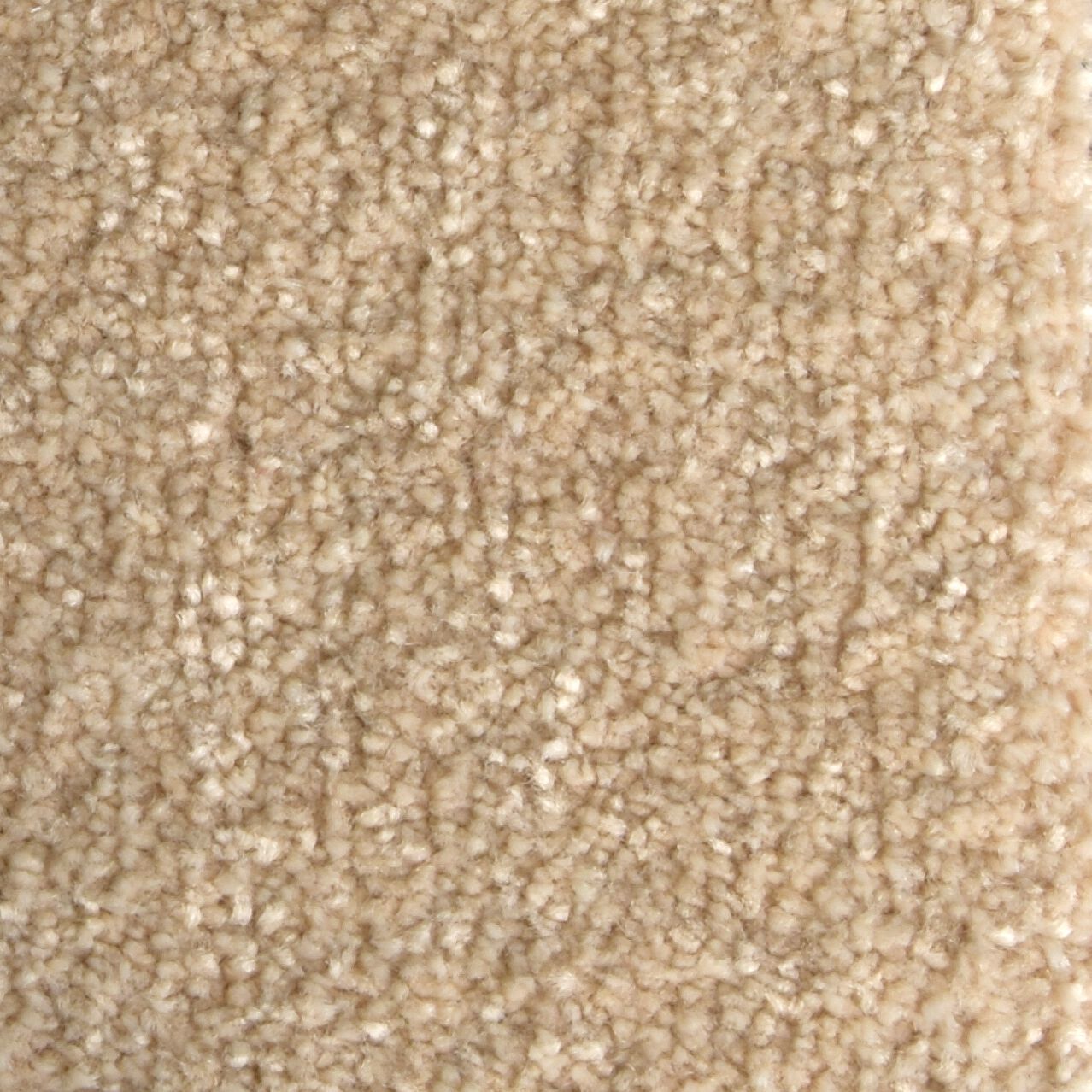 Ковер / Ковер Ademi Резка по запросу - от стены до стены (внутри помещений) ARCH-00118262 - Вид №4