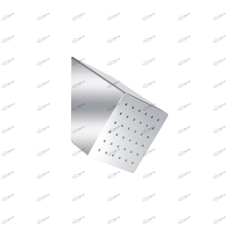 A559XS Душевая лейка  DANIEL RUBINETTERIE 