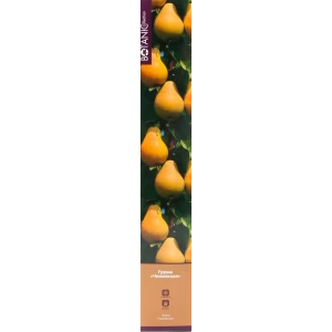 Груша Чижовская в тубе 82539561 STLM-2091607