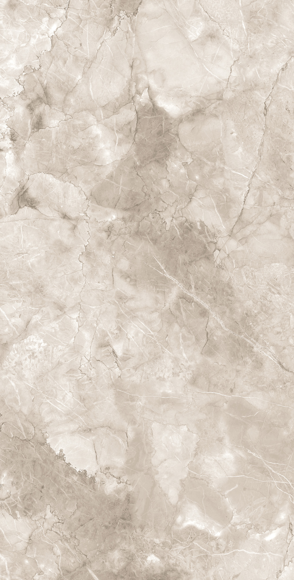 Керамогранит MICADO TAUPE 60х120 Arcadia Ceramica CR4025-A - Вид №5