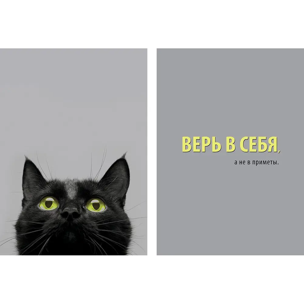 Постер Верь в себя 50x70 см 2 шт. 85817844 STLM-2114484 АРТ ДИЗАЙН 