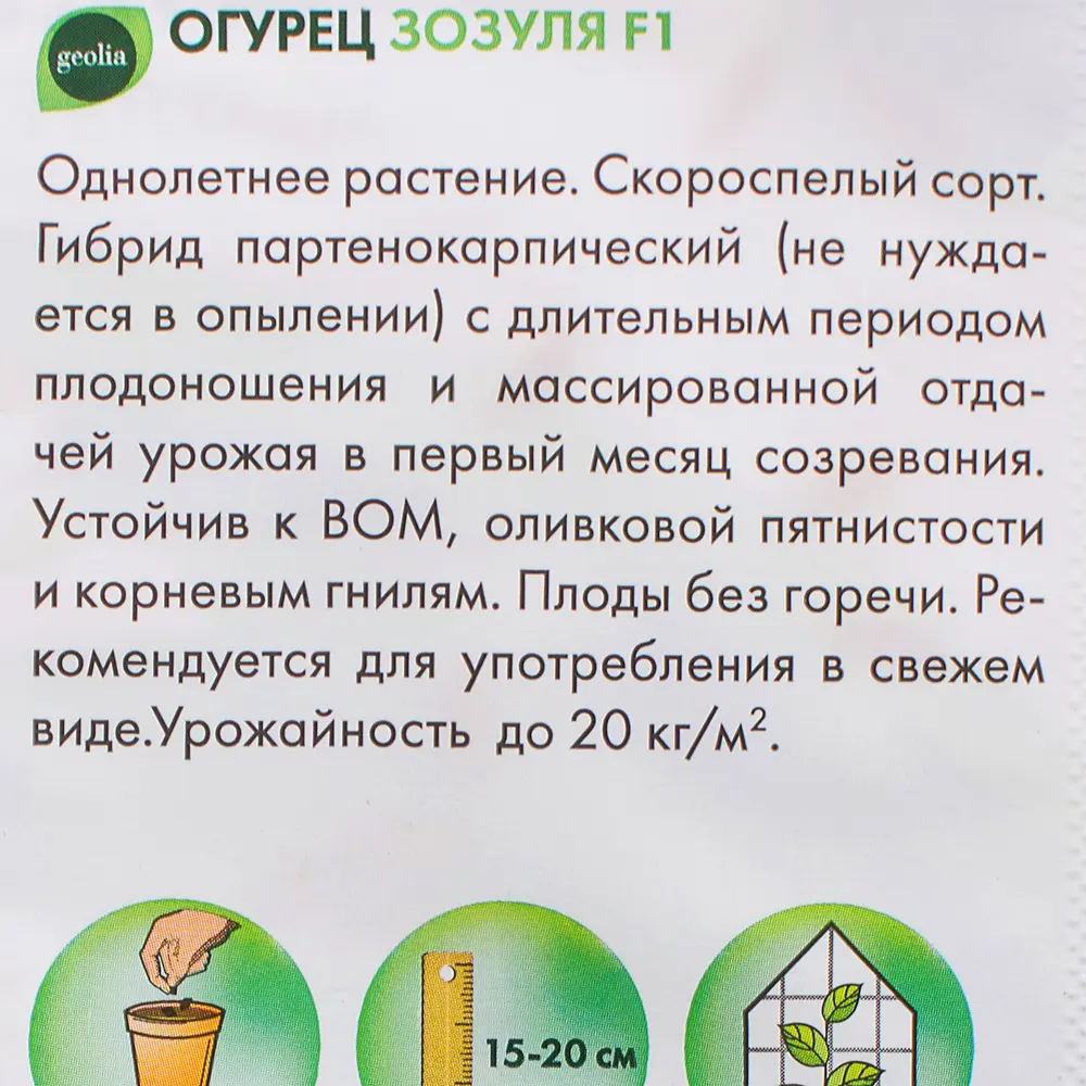 Семена Огурец Geolia «Зозуля» F1 17584778 STLM-2051147  - Вид №1