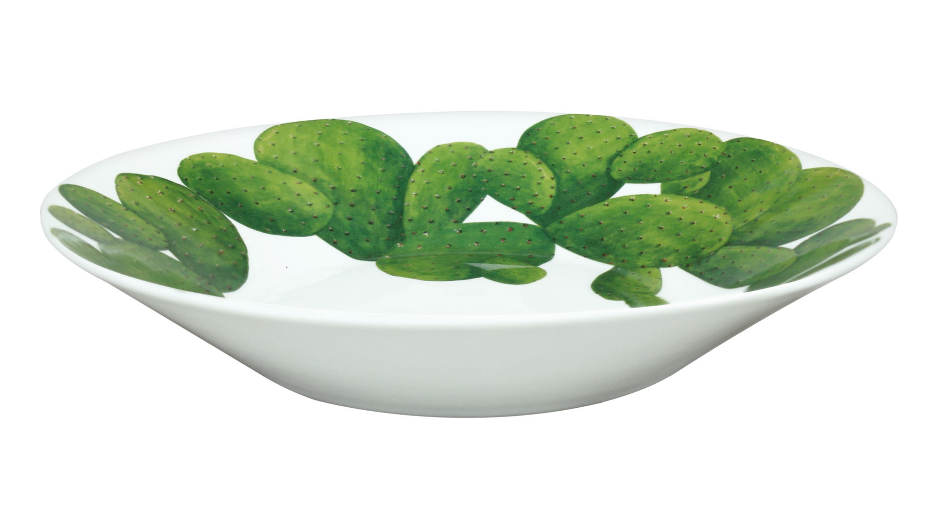 10640797 Taitu Тарелка суповая Taitu "Кактусы" 21см Фарфор костяной  - Вид №1