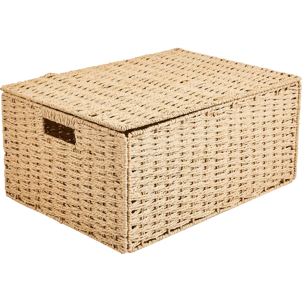 Корзина с крышкой для хранения 45x21x33 см бумага цвет бежевый 89344341 STLM-2198218 SPACEO Kub - Вид №1