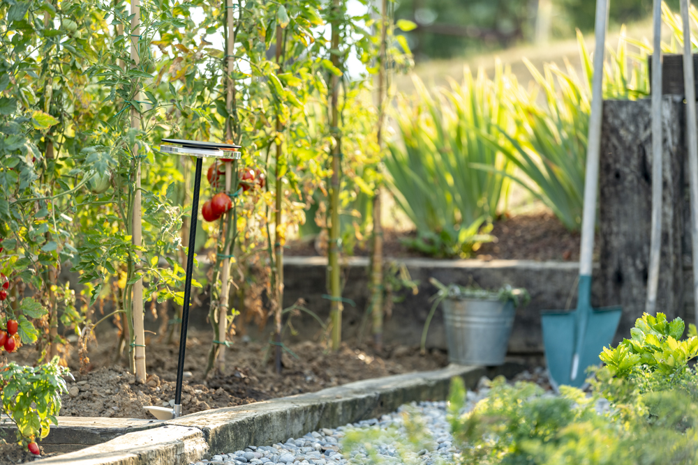 9440166 Мобильный светильник Platek CHIODO Picchetto (mobile)  CHIODO h. 600 mm - LED 4000K 93°  - Вид №10