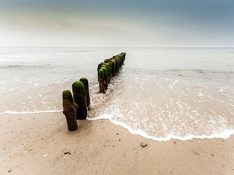 Обои с цифровой печатью Architects Paper AP Digital II ARCH-00023687 - Вид №1