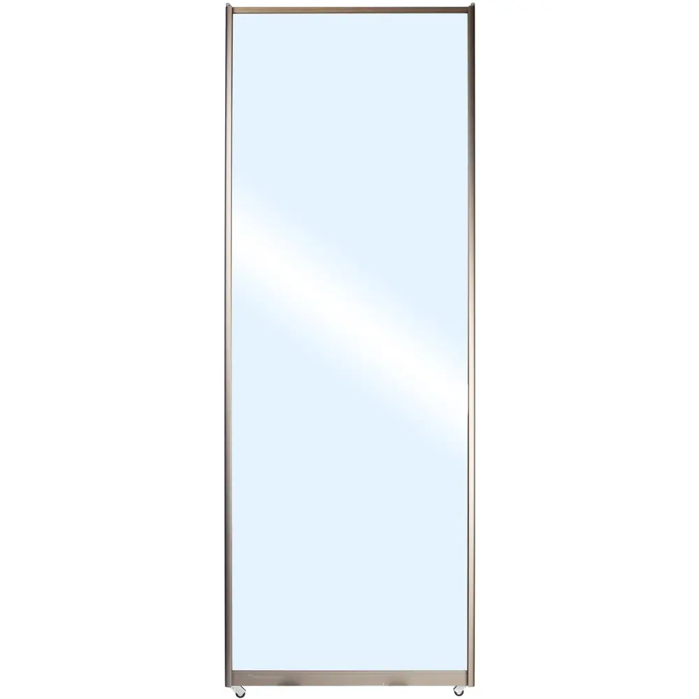 Дверь-купе Spaceo 2117х904 мм зеркало 18333655 STLM-2200871 Santreyd 