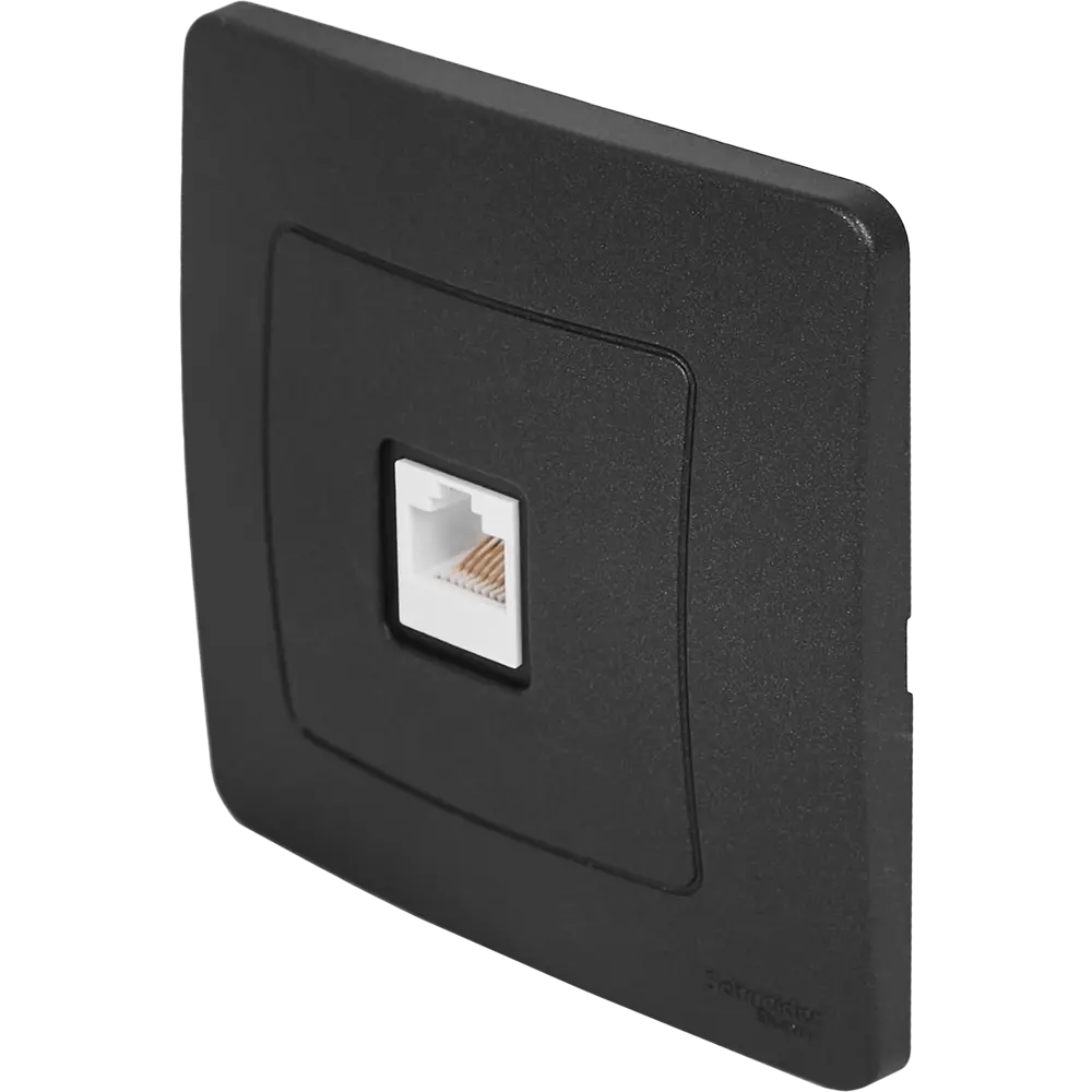 Розетка компьютерная встраиваемая Systeme Electric Blanca RJ45 UTP cat 5e цвет антрацит STLM-2165061 - Вид №1
