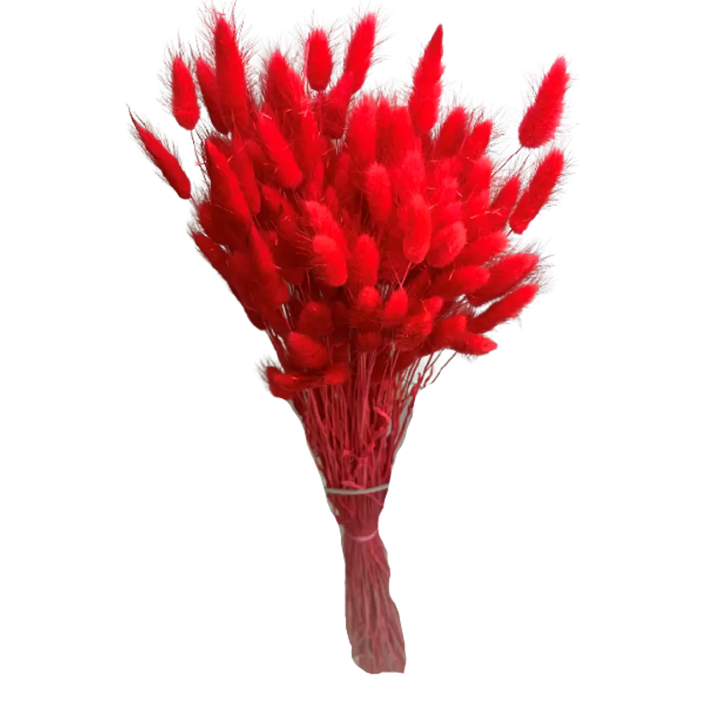 Букет из сухих цветов Лагурус микс 1 70 см Santreyd STLM-2132636 - Вид №11