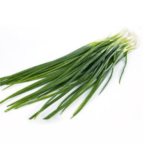 Лук зелёный