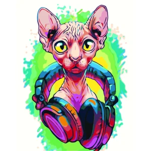 Картина по номерам Музыкант 40х50 см