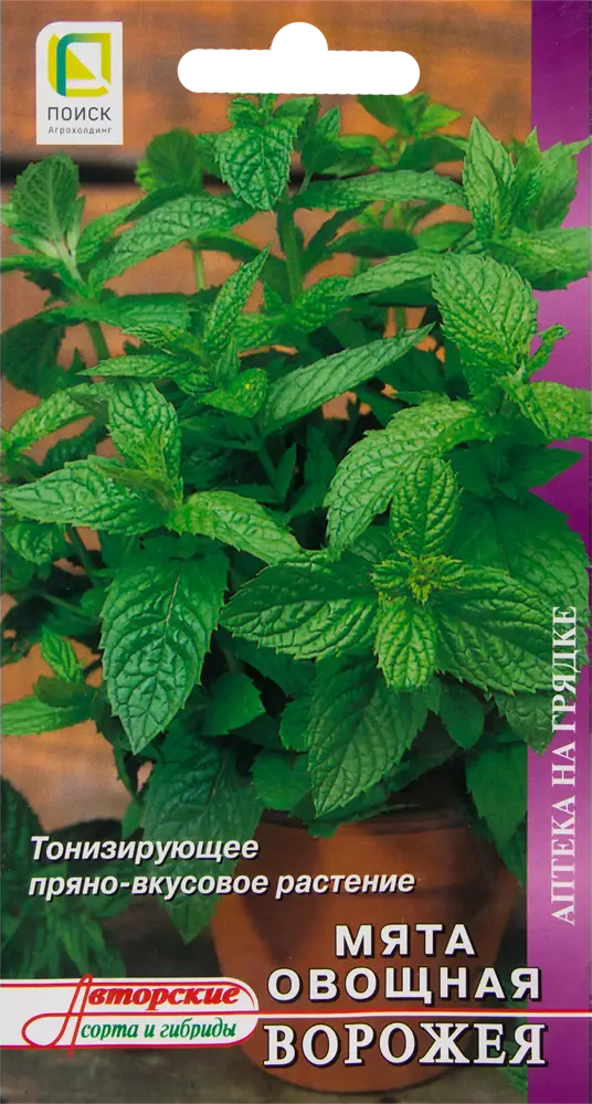 Мята овощная «Ворожея» от ПОИСК - ароматная приправа и лекарство 82476796