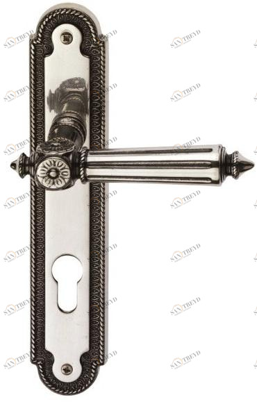 Pasini Ручка из латуни на пластине с накладкой Patrizio 2830 