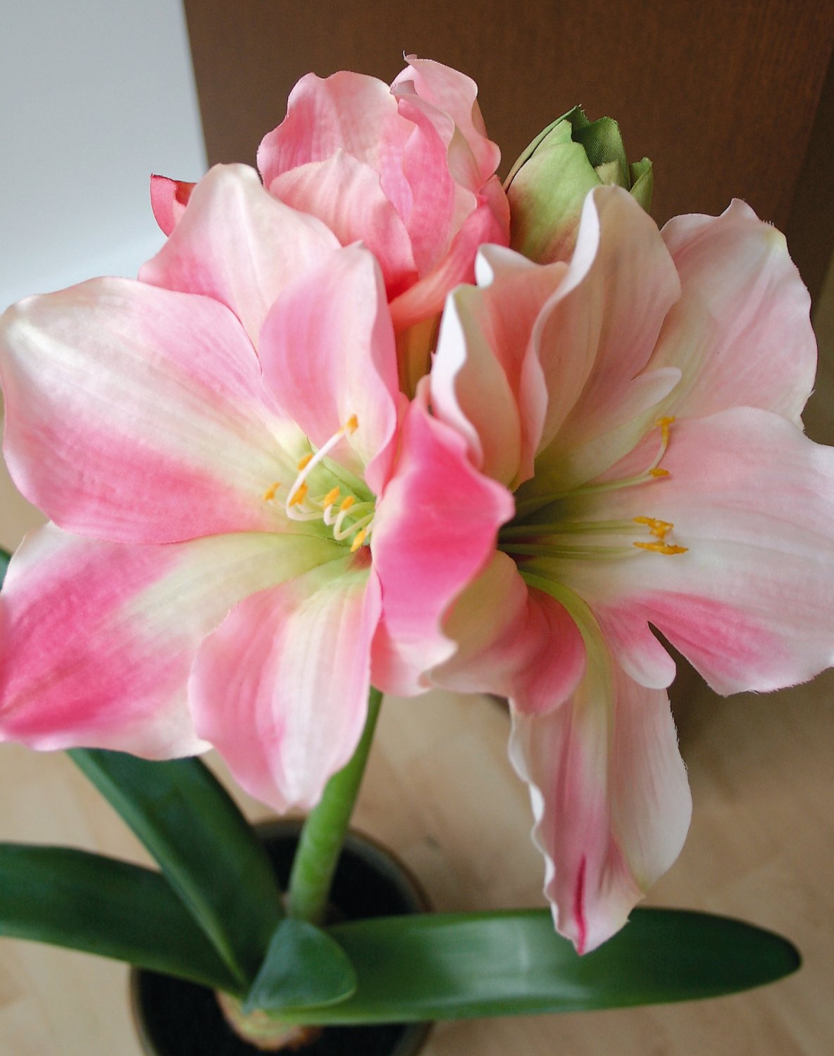 Искусственный амариллис, горшечный, 65 см, светло-розово-темно-розовый Santreyd 2422 505 a3