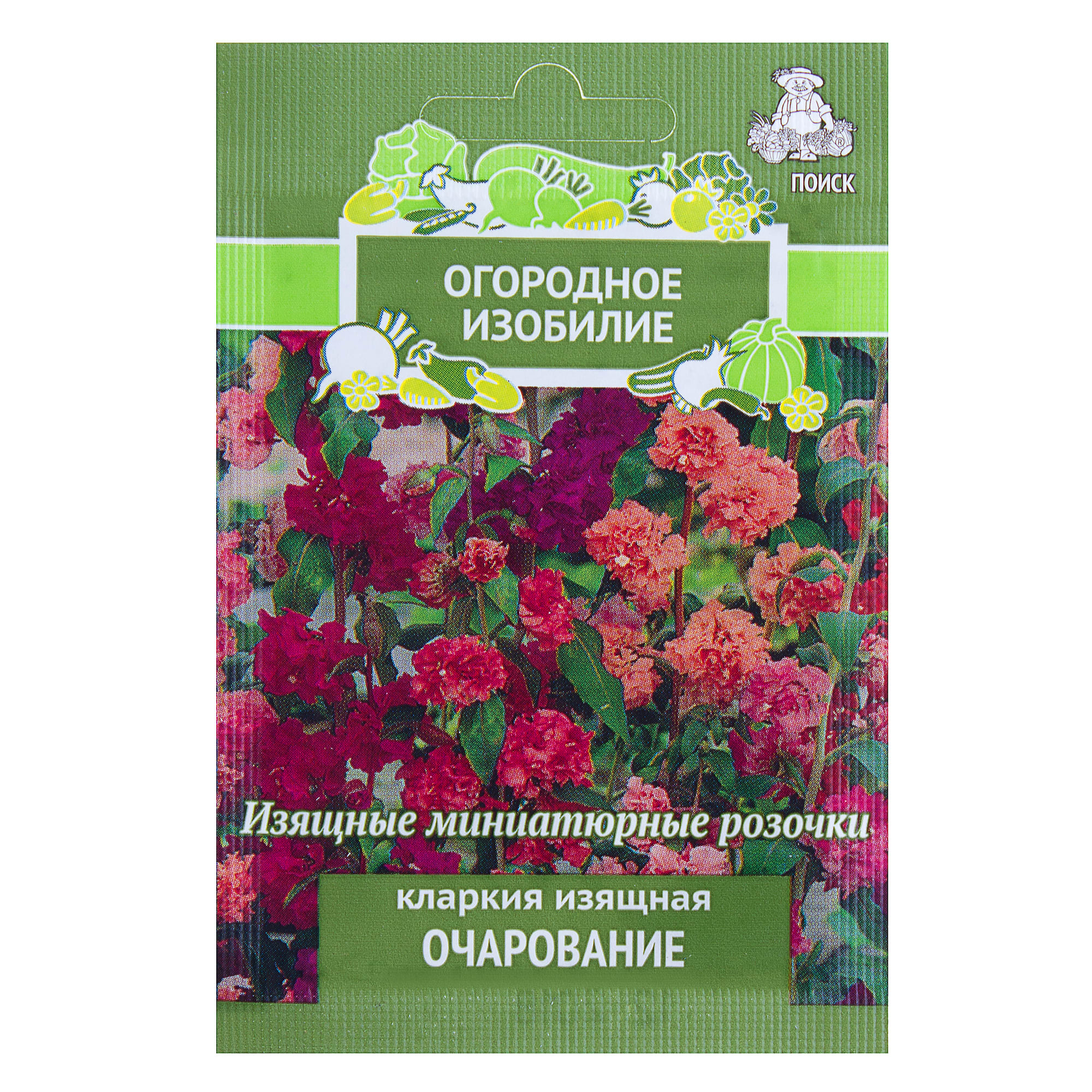 18358908 Кларкия изящная «Очарование» Santreyd 