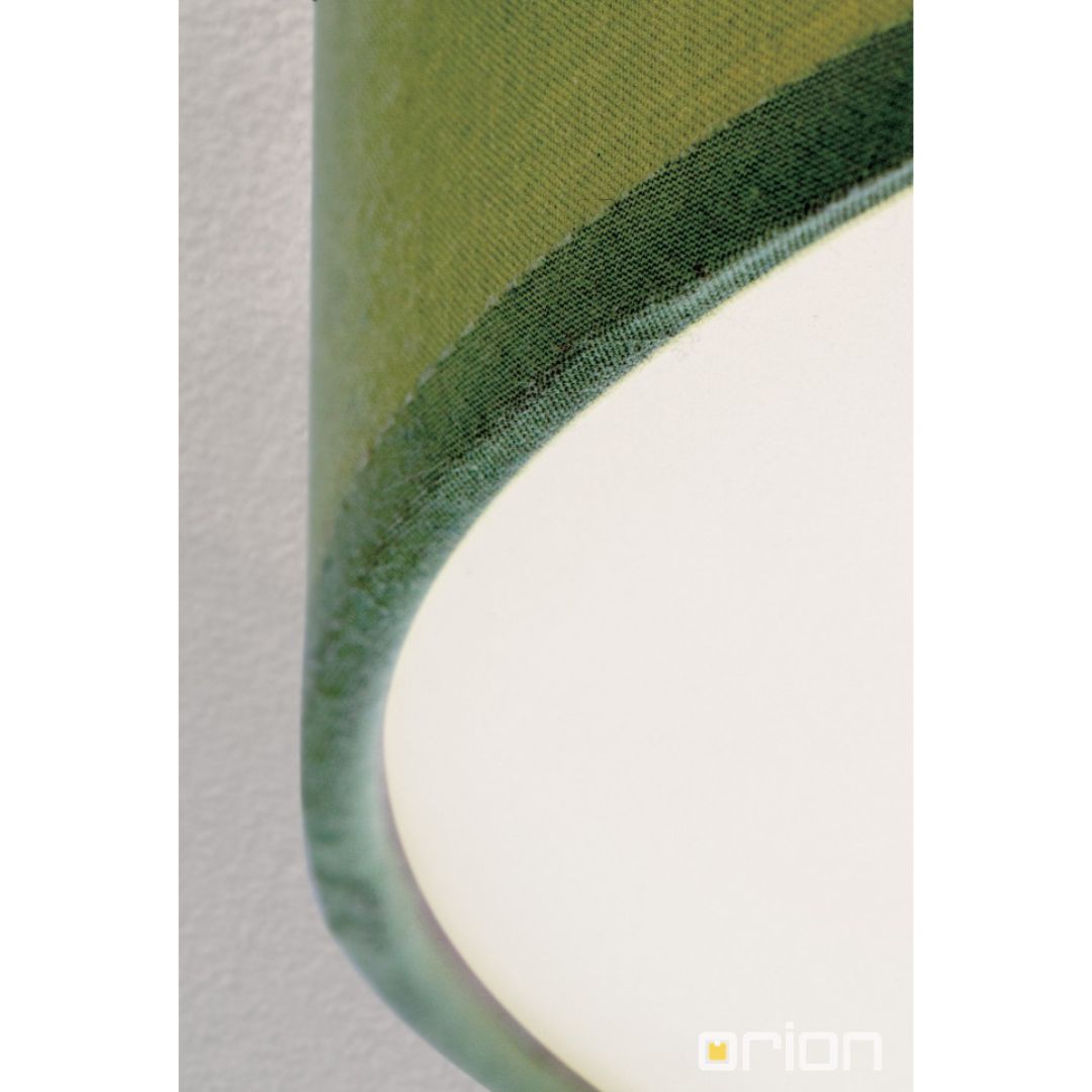 Orion DL 7-617/3 зеленый светильник потолочный 108250 - Вид №2