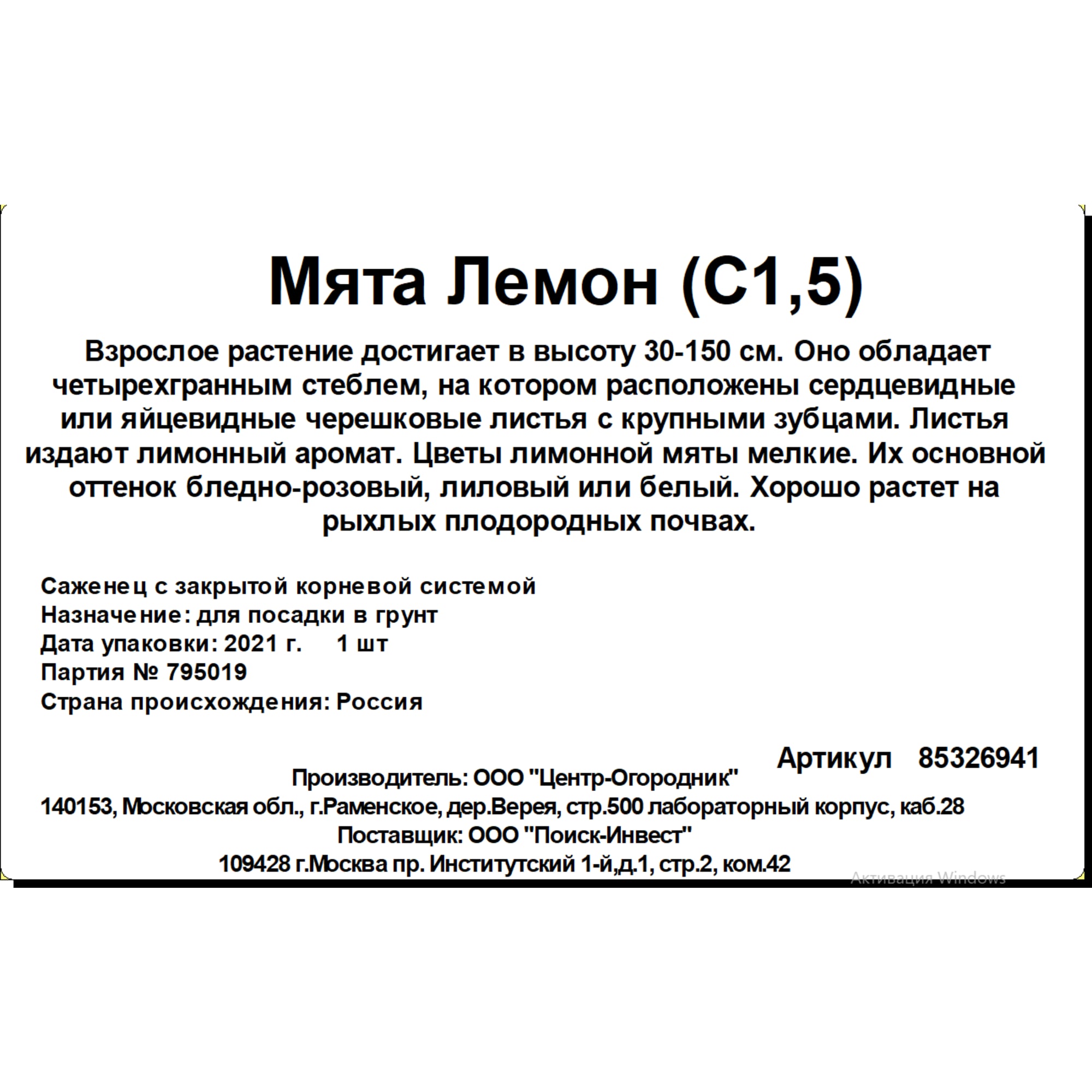 85326941 Мята Лемон ø15 h20 см Santreyd  - Вид №2