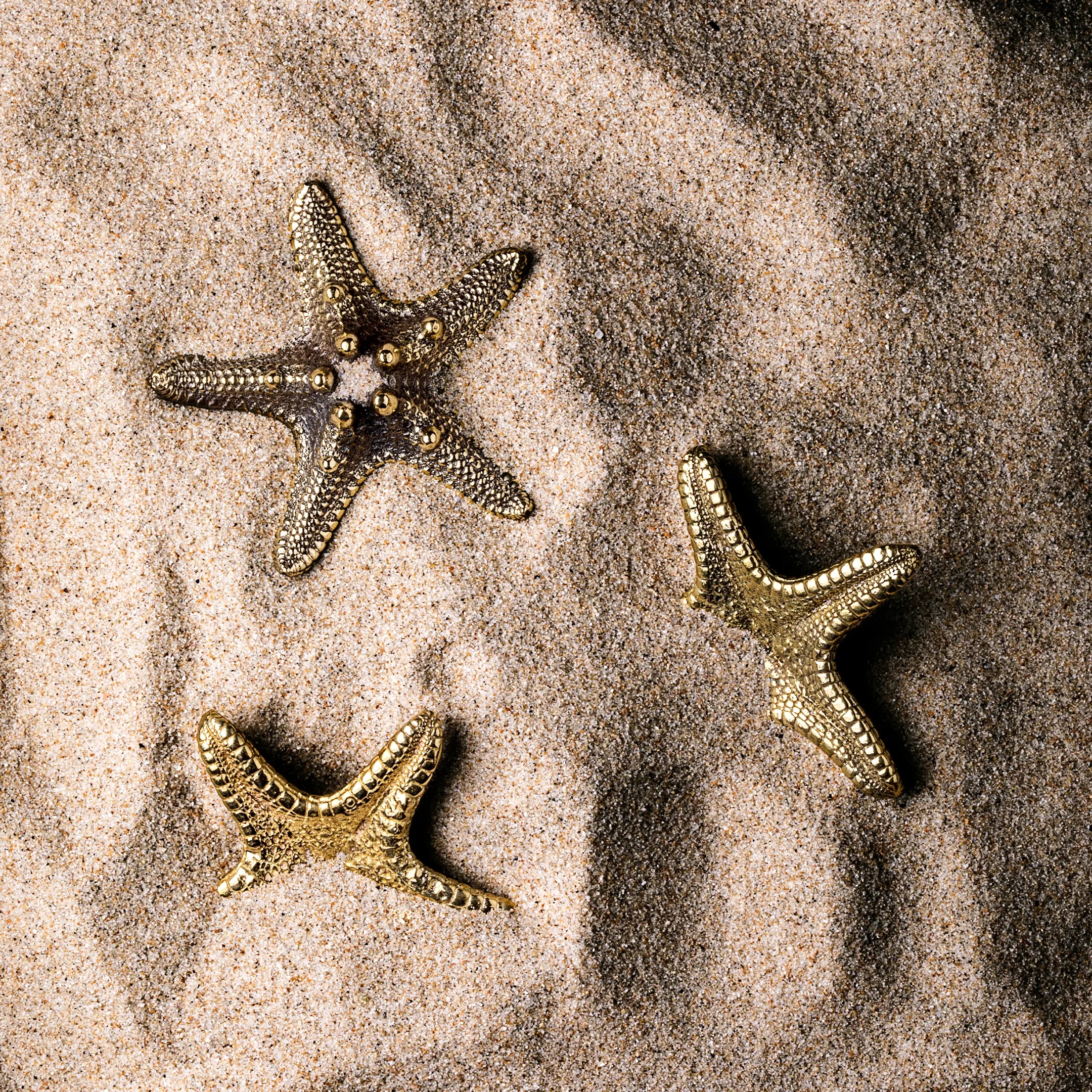 OC2012 Linckia PULLCAST Ocean Collection  - Вид №3