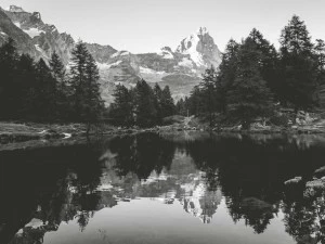 MOMENTI Авторский художественный принт Crazy home paintings An-006