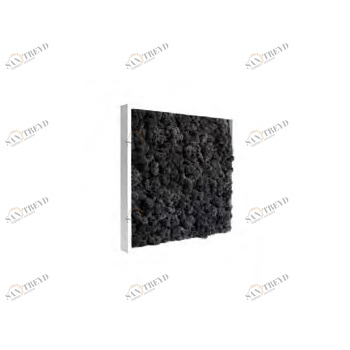 Мох / Moss Frame Benetti sun-id-376350
