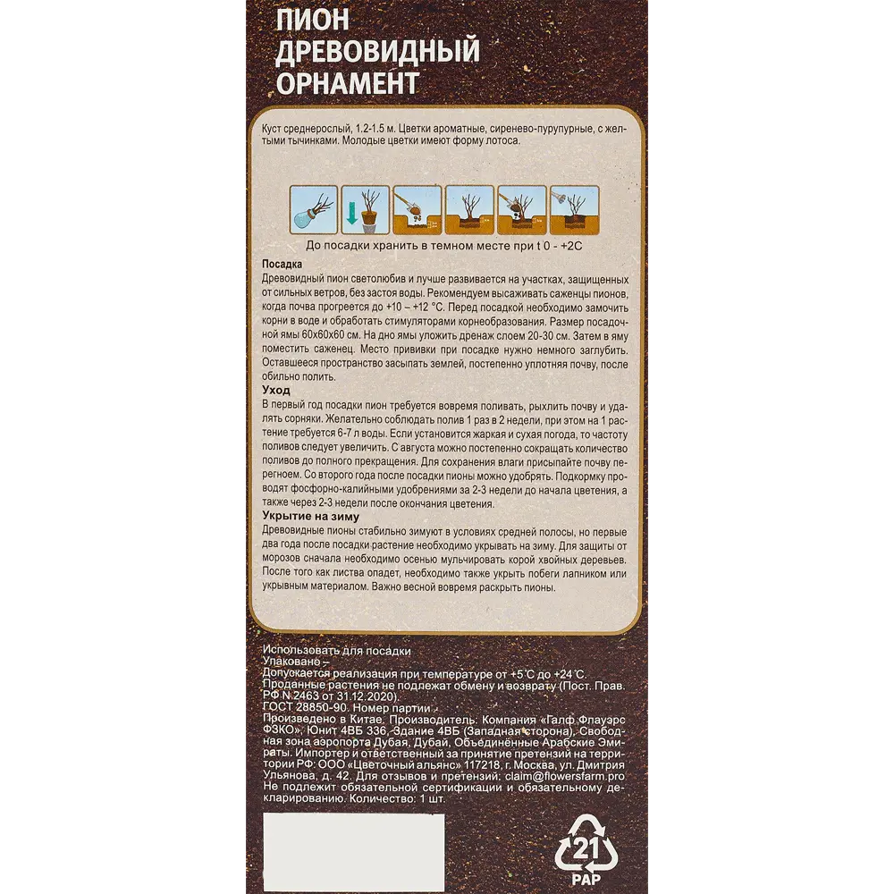 Пион древовидный Орнамент в тубе Цветочный альянс 83761603 STLM-2013573 Santreyd  - Вид №1